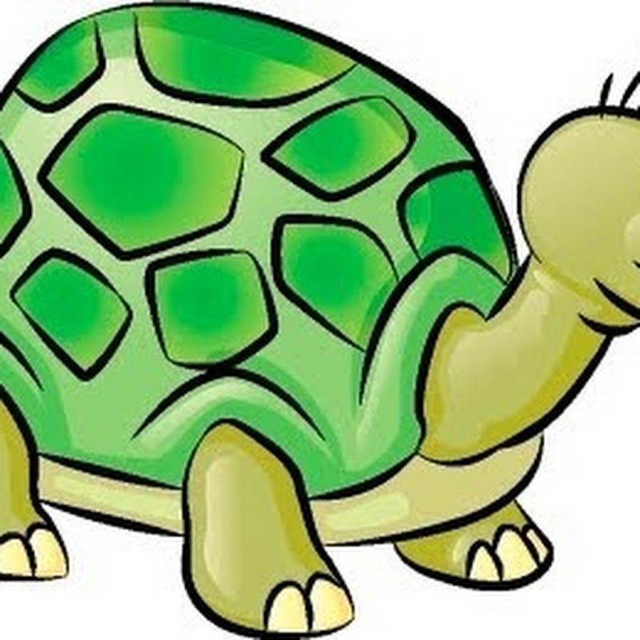 Черепаха в очках картинка. Мультяшные черепахи. Черепашка мультяшная. Черепаха рисунок. Черепаха для дошкольников.