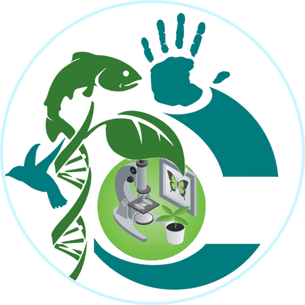Логотип эколога. Эмблема экологии. Эмблема экологов. Эмблема на тему экология. Экология картинки.