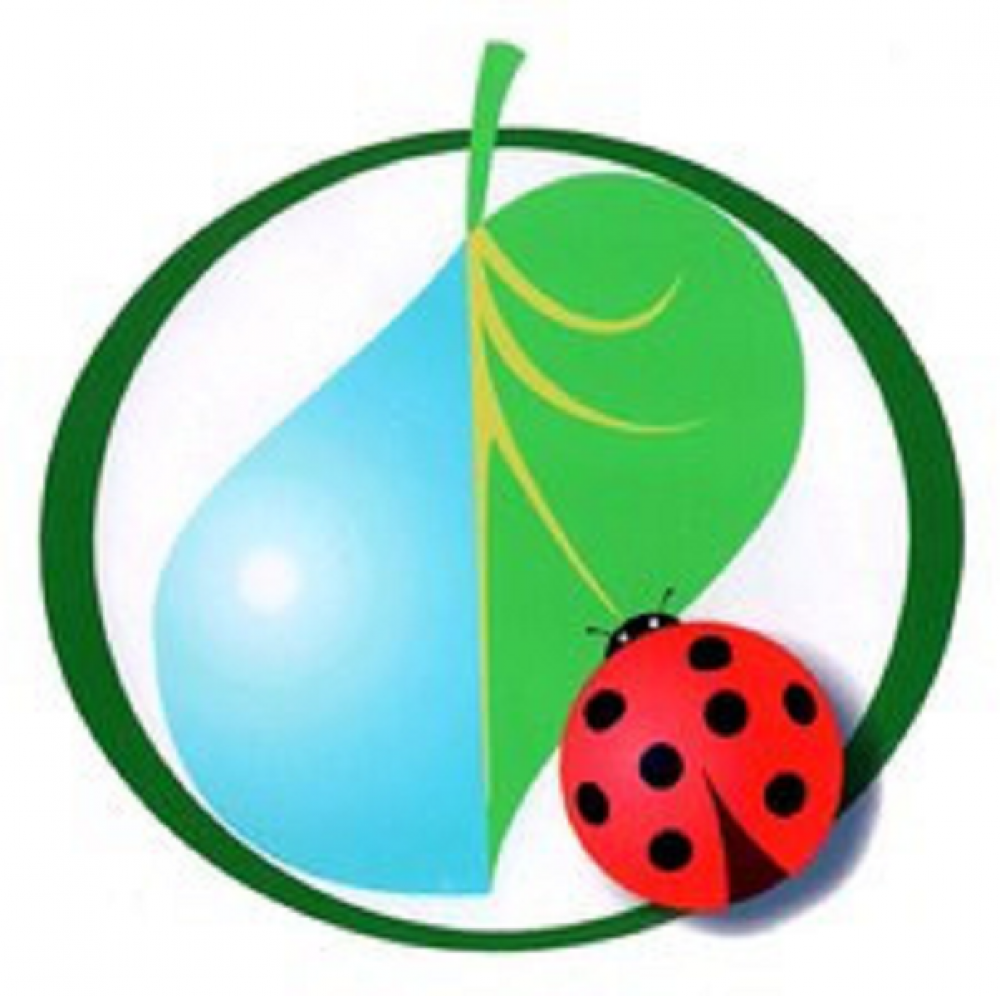 Эмблема Юный эколог. Эмблемы Юный эколог для детей. Экологические значки для детей. Значок эколога для детей.