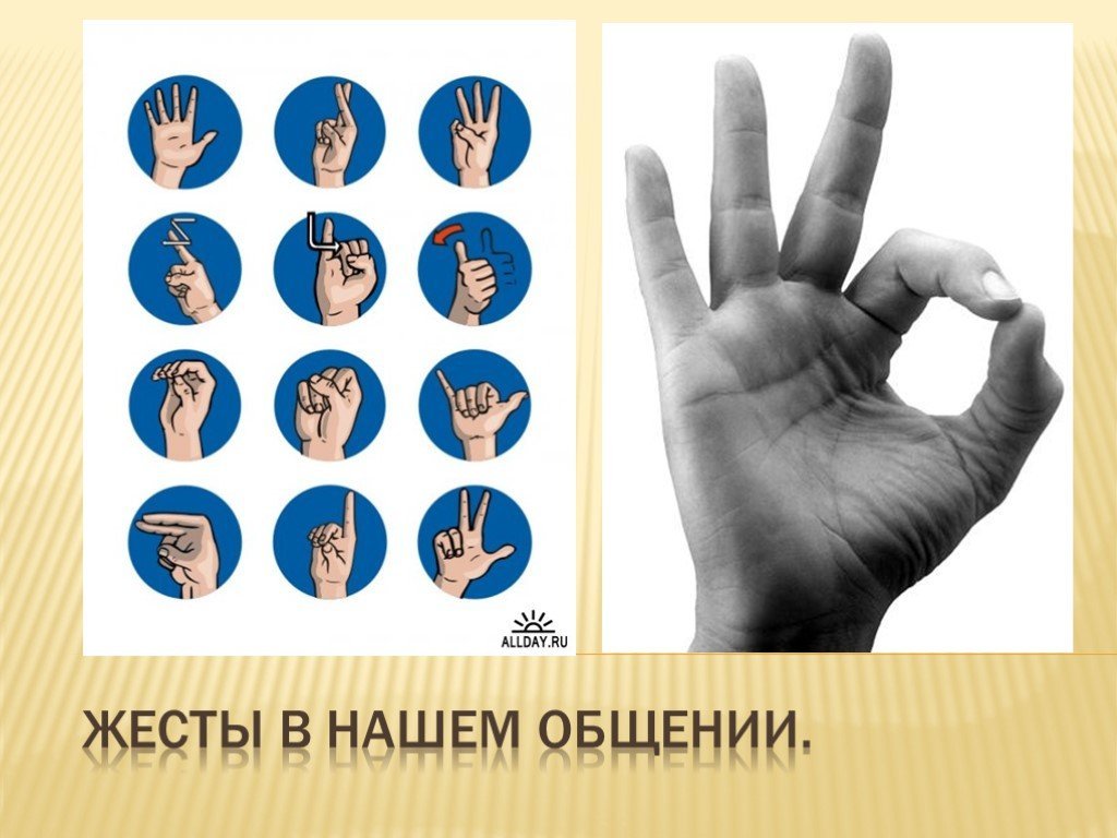 Объяснить слово жестами. Невербальное общение жесты. Жесты руками. Невербальная коммуникация жесты. Общение на языке жестов.