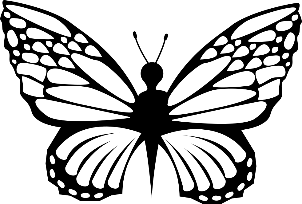 Черно белое изображение png. Силуэт бабочки. Бабочка черно белая. Трафареты бабочки. Бабочка контур.