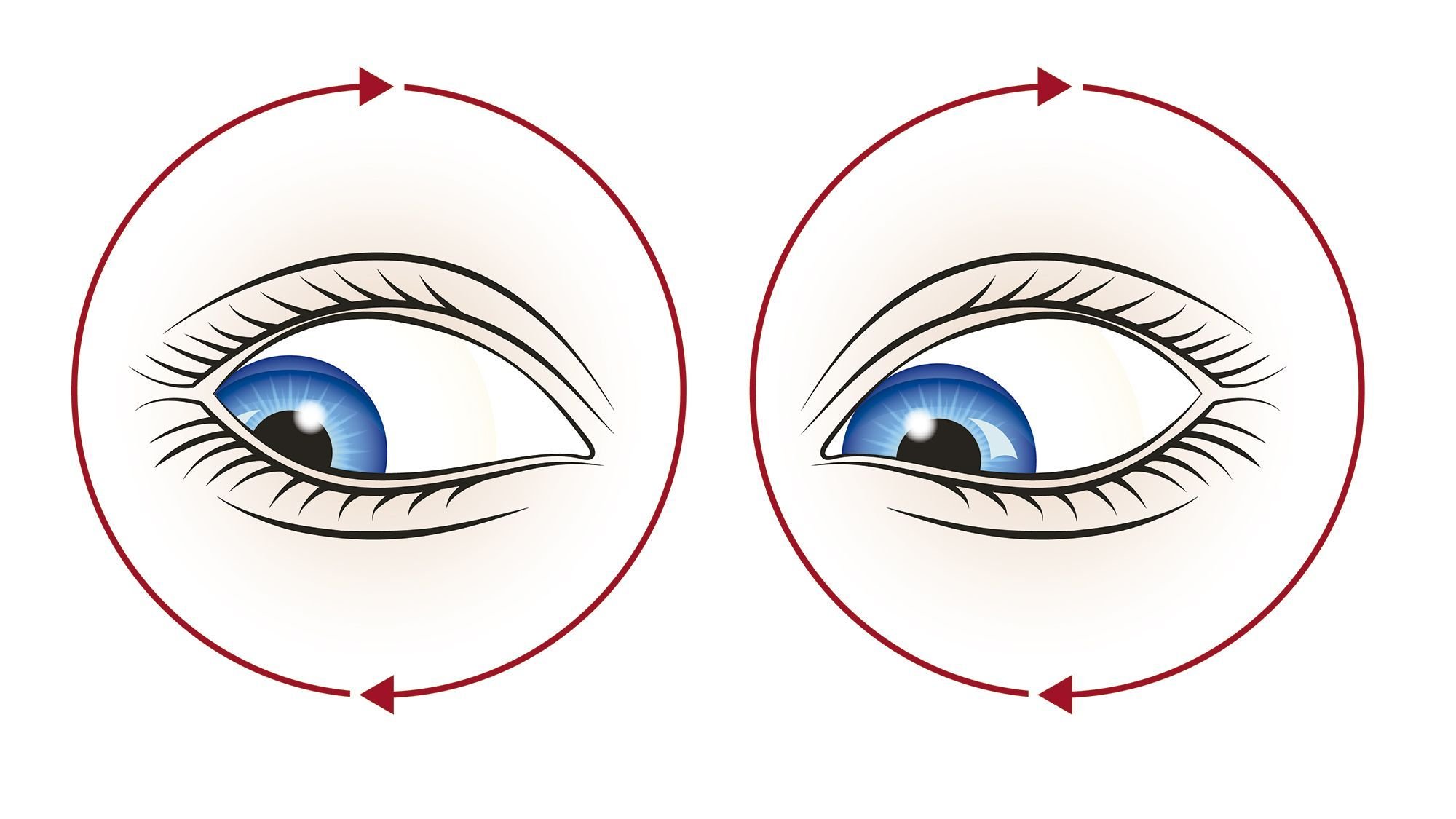 Какая часть стрелки видна глазу. Круговые движения глазами. Вращение глазами. Упражнение вращение глаз. Упражнение по часовой стрелке для глаз.