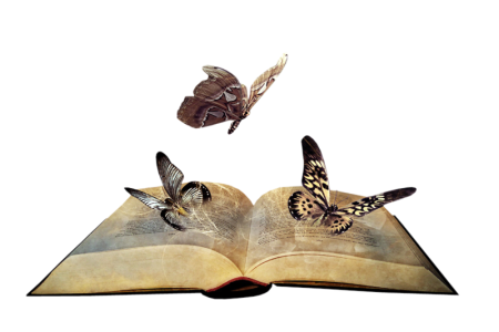 Открытая книга на прозрачном фоне
