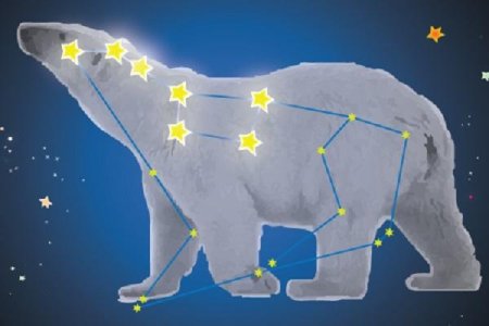 Большая Медведица Созвездие окружающий мир 1 класс
