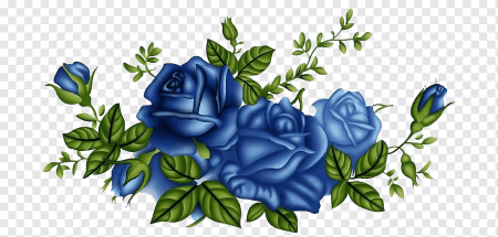 Цветы на прозрачном фоне