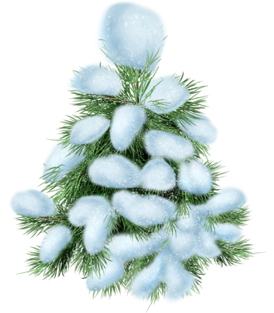 Елочка в снегу на прозрачном фоне
