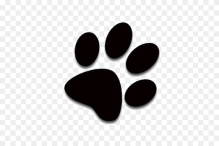 Отпечаток лапы кота