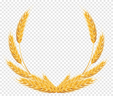 Пшеничный Колос