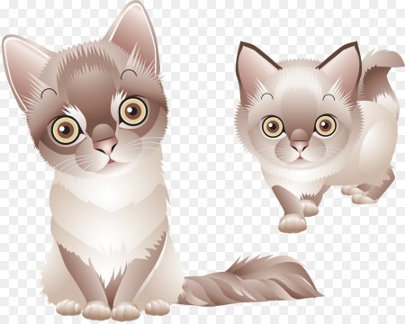 Клипарт кошечки на прозрачном фоне
