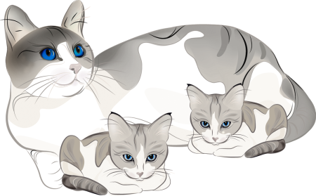 Кошка и котенок на белом фоне