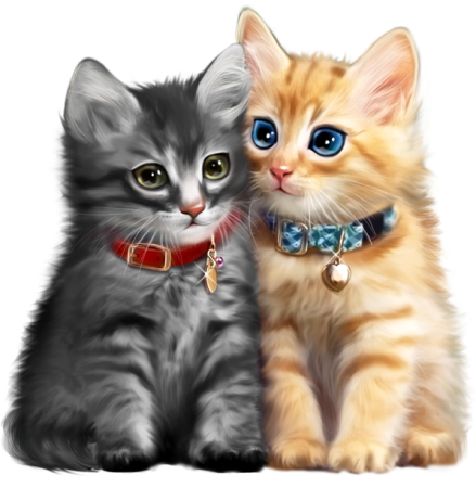 Котенок клипарт