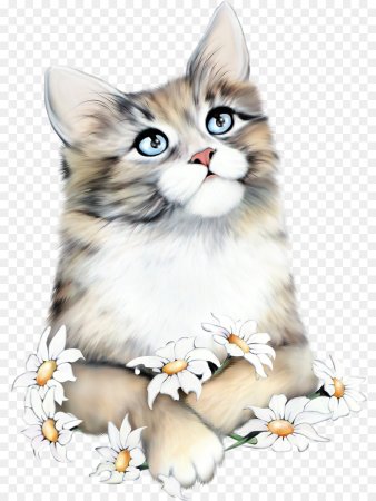 Кошка на прозрачном фоне