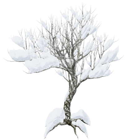 Зимнее дерево на прозрачном фоне