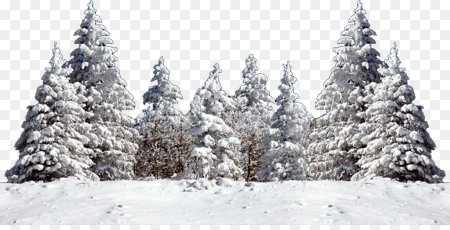Мультяшное зимнее дерево