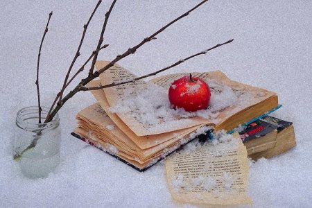 Декор яблочко в снегу