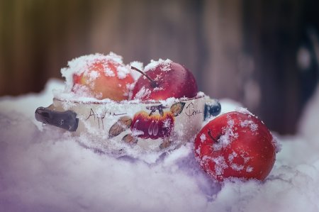 Яблоки на снегу