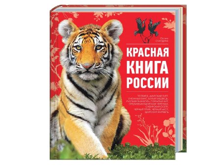 Животные красной книги для дошкольников