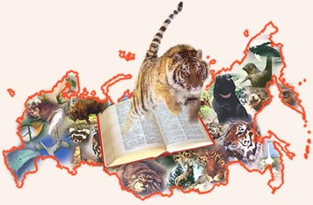 По страницам красной книги