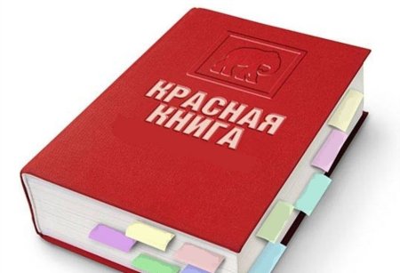 Международная красная книга обложка
