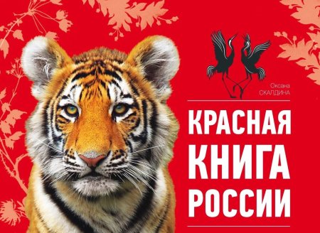 Красная книга обложка
