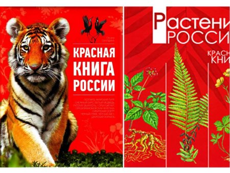 Красная книга обложка