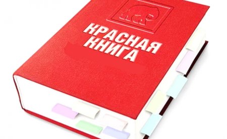 Красная книга россии клипарт (47 фото)