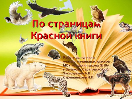 Красная книга фон