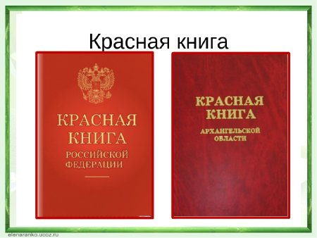 Красная книга России