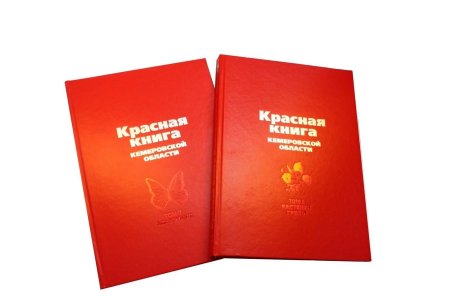 Красная книга Кемеровской области книга