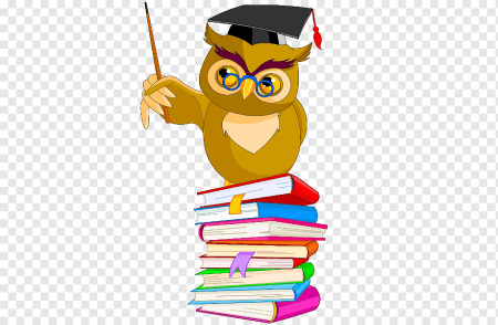 Сова с книгой