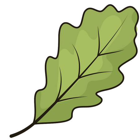 Дубовый лист