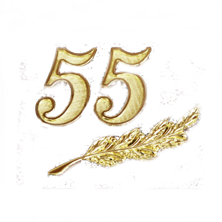 Красивые цифры 55