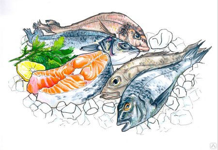 Рыба и морепродукты