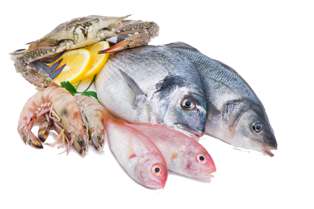 Рыба и морепродукты