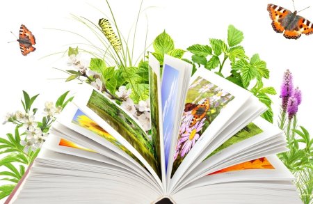 Книга природа