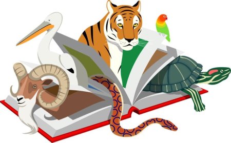 Красная книга клипарт