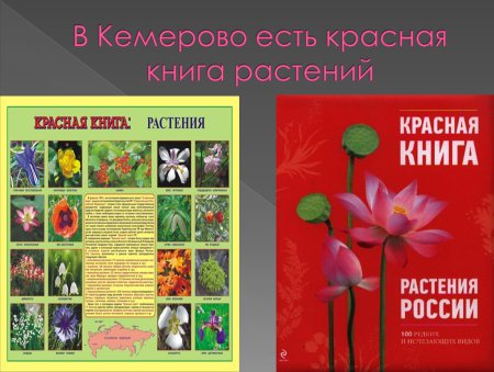 Растения красной книги России