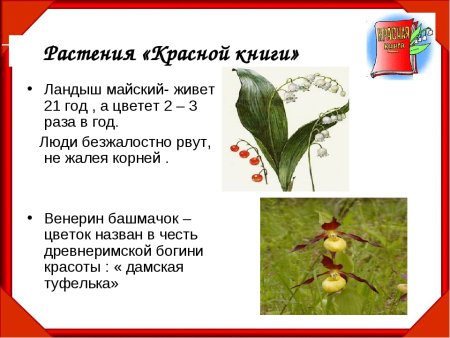 Красная книга России растения список окружающий мир