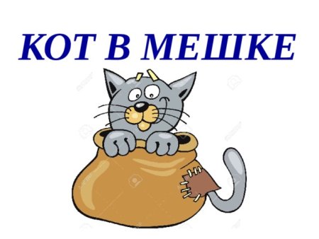 Котик в мешочке