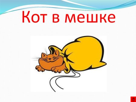 Кот в мешке