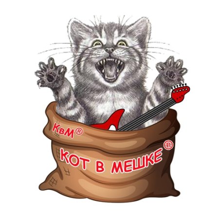 Черный кот в мешке