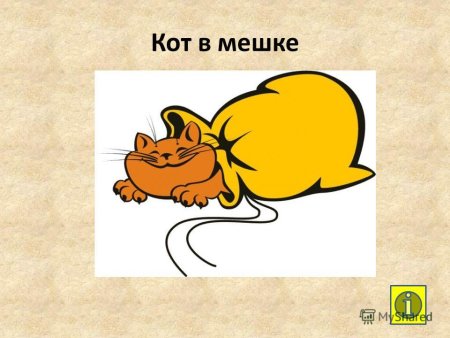Кот в мешке