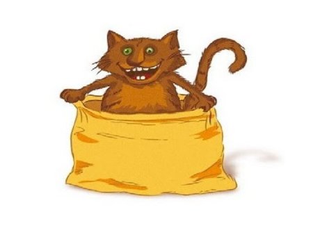 Кот в мешке на прозрачном фоне