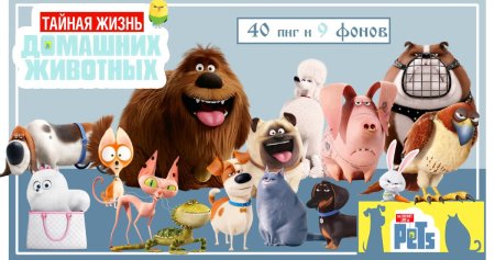 Тайная жизнь домашних животных обои