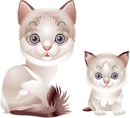 Кошка и котенок для детей