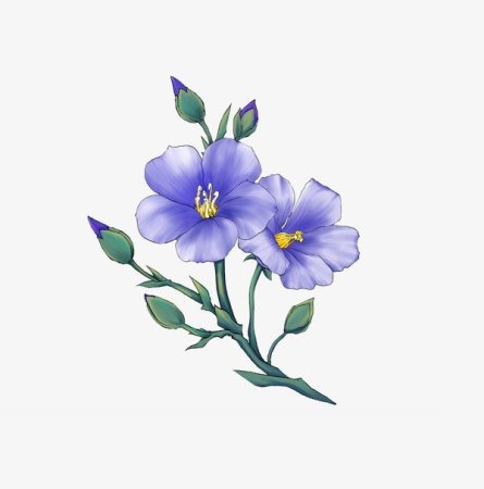 Цветок льна на белом фоне