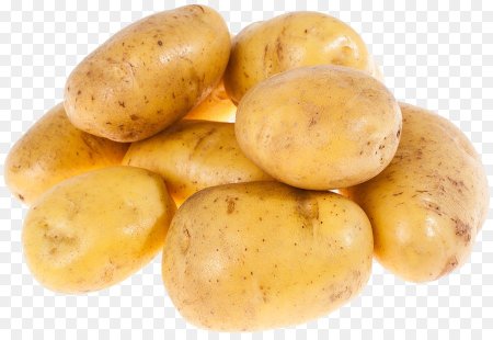 Юкон Голд картофель