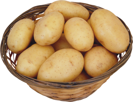 Картофель Латона