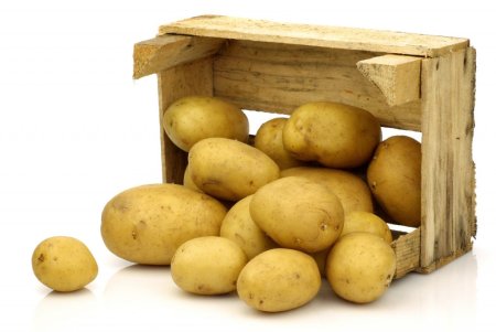 Картофель белый