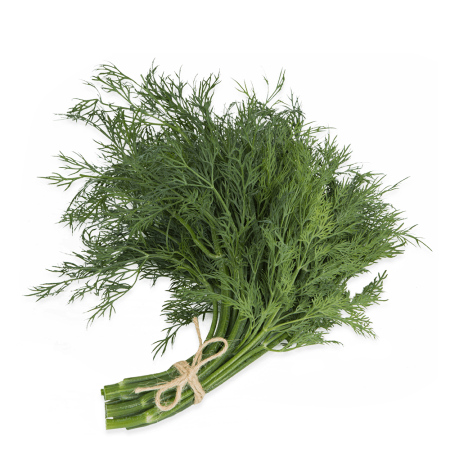 Тархун и фенхель